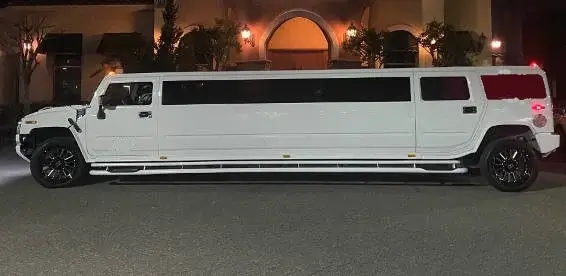 Birthday Limousine Celebration